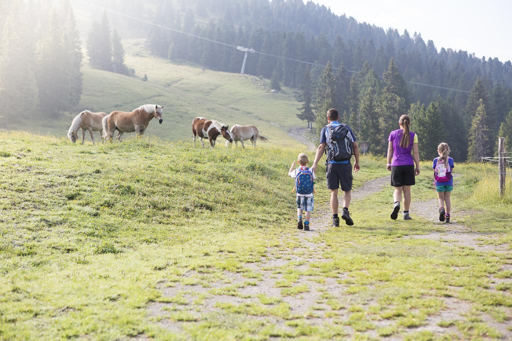 Appartmenthaus Martina Zell am Ziller Εξωτερικό φωτογραφία
